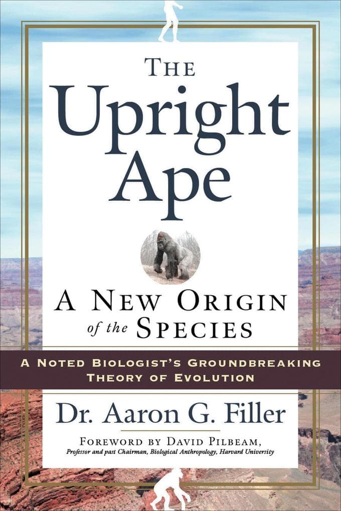 The Upright Ape