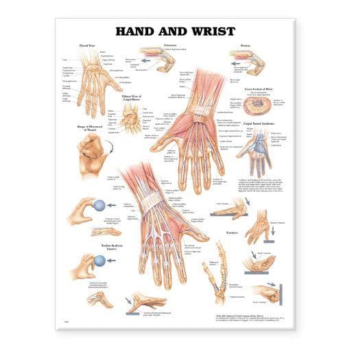 HAND AND WRIST PST