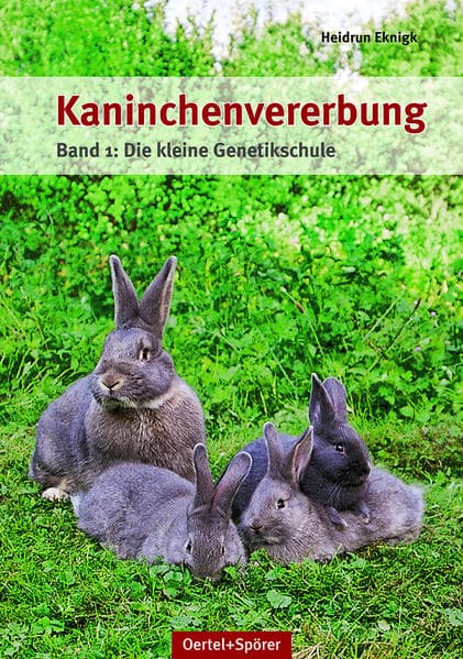 Kaninchenvererbung 01
