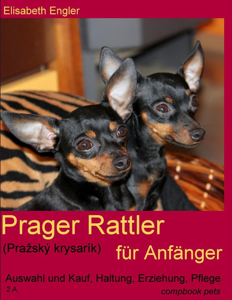 Prager Rattler (Praský krysarík) für Anfänger