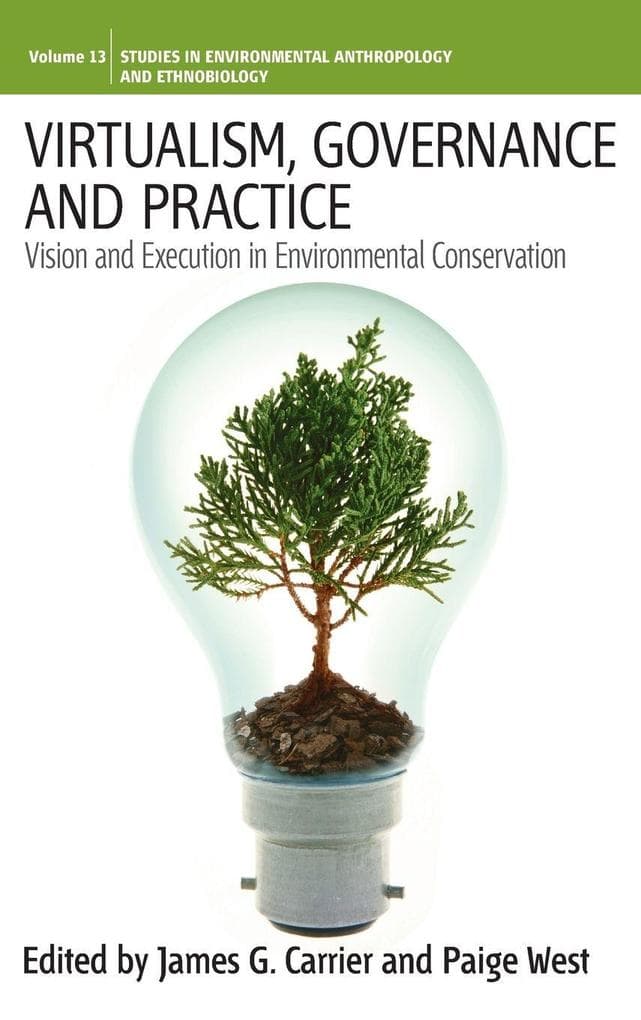 Virtualism, Governance and Practice