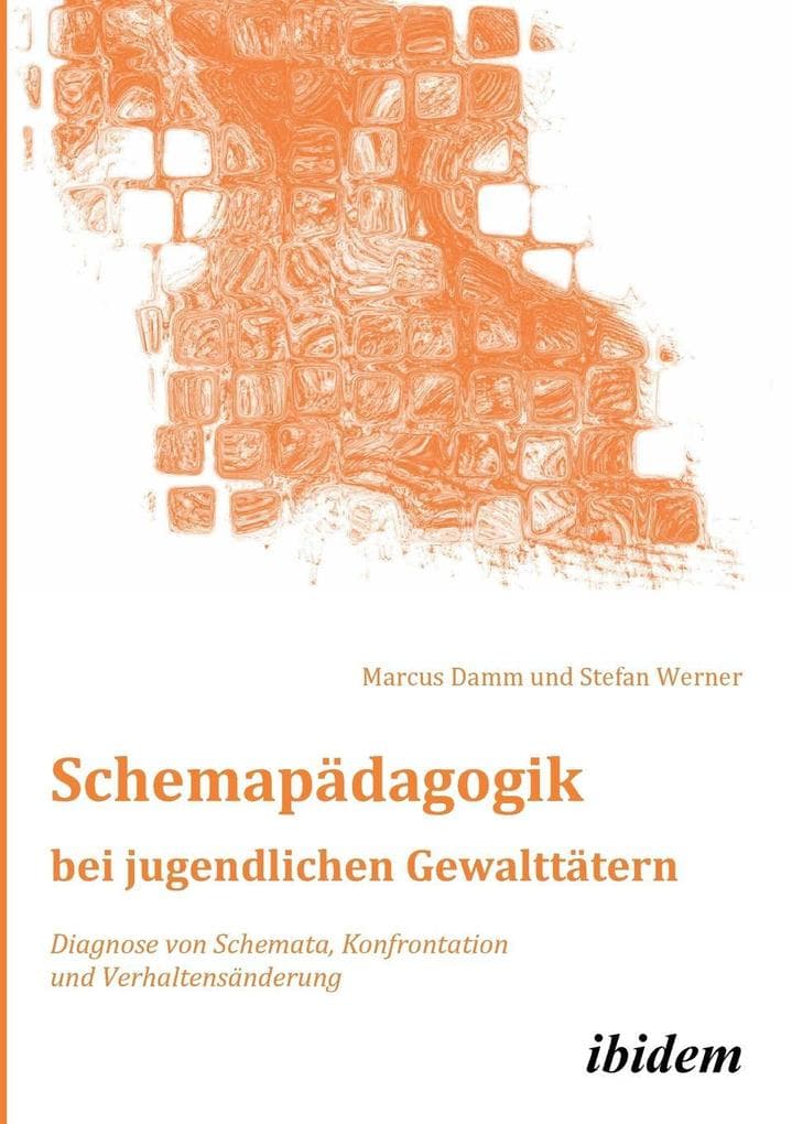 Schemapädagogik bei jugendlichen Gewalttätern