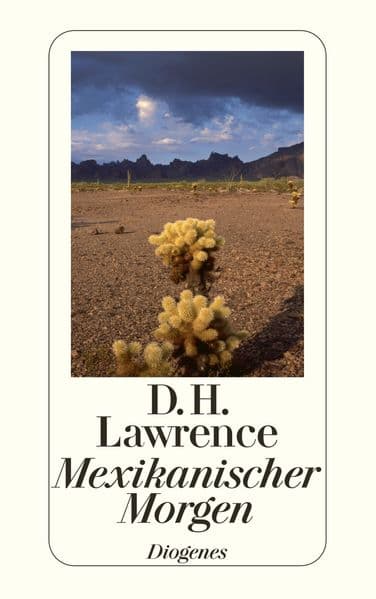 Mexikanischer Morgen: Reisetagebücher