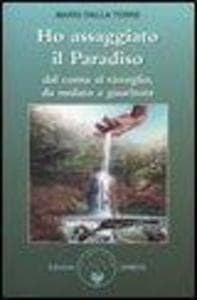 Ho assaggiato il paradiso. Dal coma al risveglio, da malato a guaritore