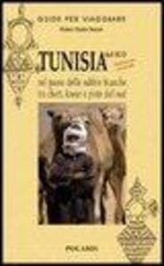 Tunisia. Nel paese delle sabbie bianche tra chott, ksour e piste del sud