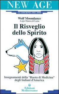 Il risveglio dello spirito. Insegnamenti della «Ruota di medicina» degli indiani d'America