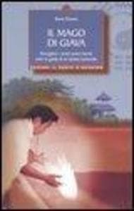 Il mago di Giava. Risvegliare i nostri poteri latenti sotto la guida di un taoista immortale