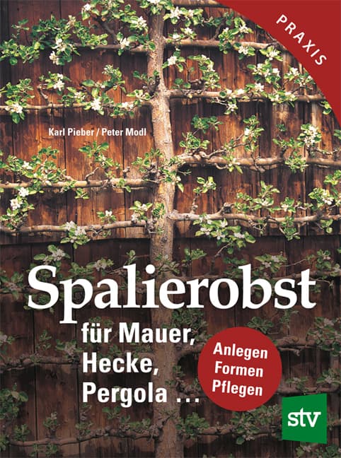 Spalierobst