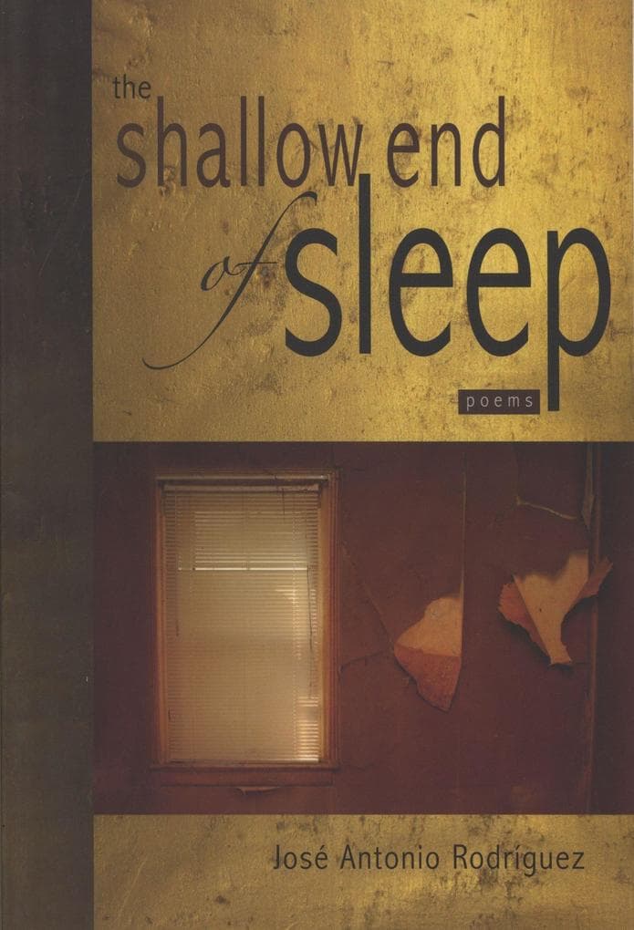 Shallow End of Sleep