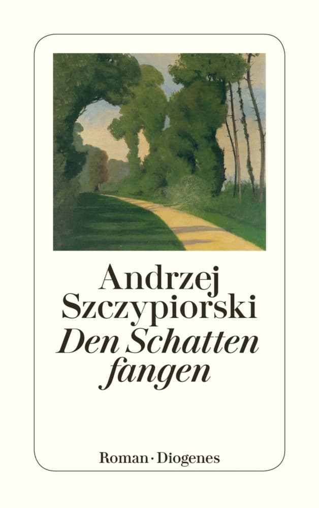 Den Schatten fangen: Roman