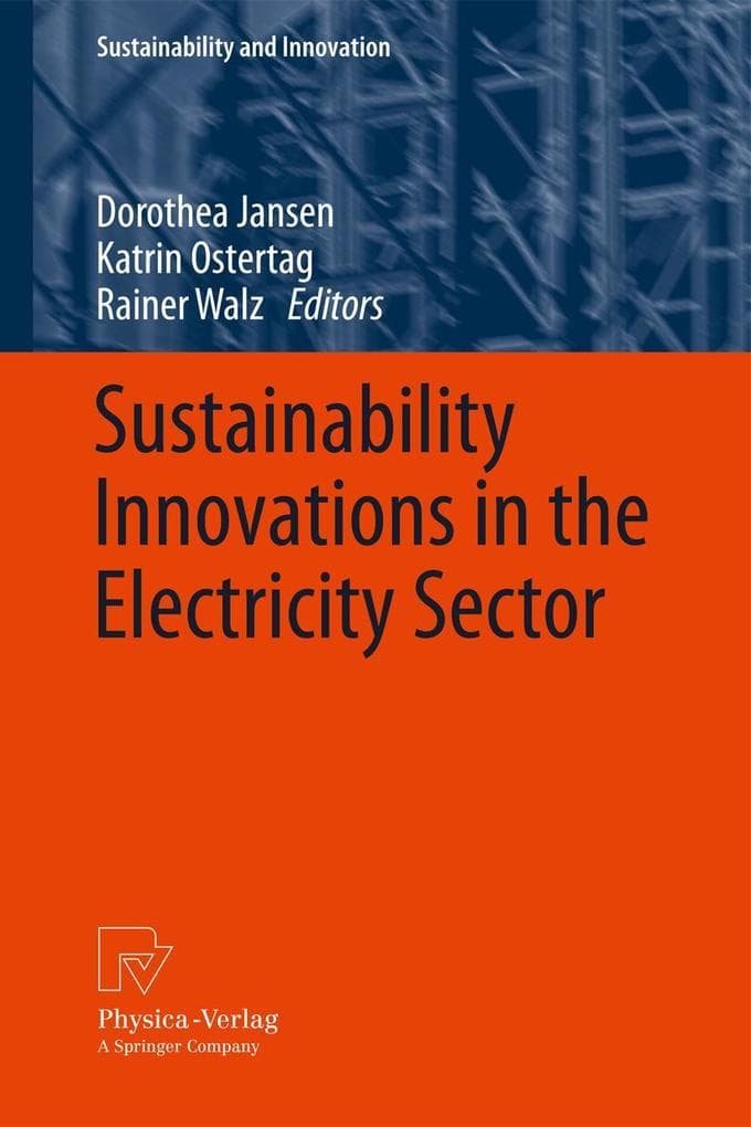 Sustainability Innovations in the Electricity Sector