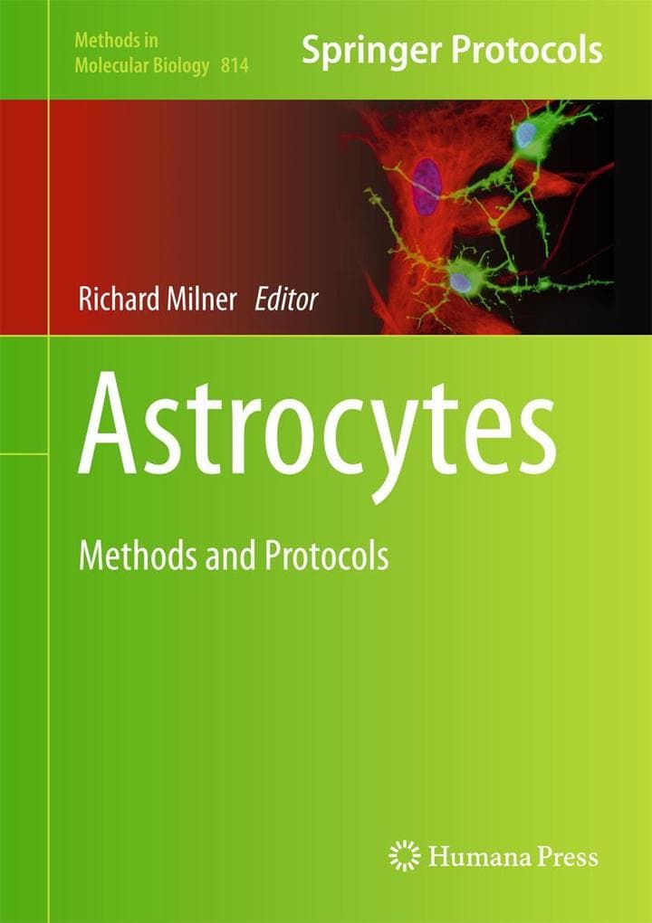 Astrocytes