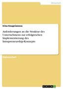 Anforderungen an die Struktur des Unternehmens zur erfolgreichen Implementierung des Intrapreneurshi