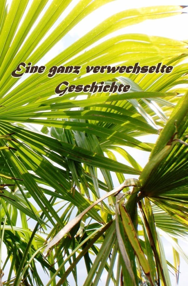 Eine ganz verwechselte Geschichte