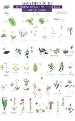 Mac's Field Guides: Mount Rainier National Park Flowers & Trees