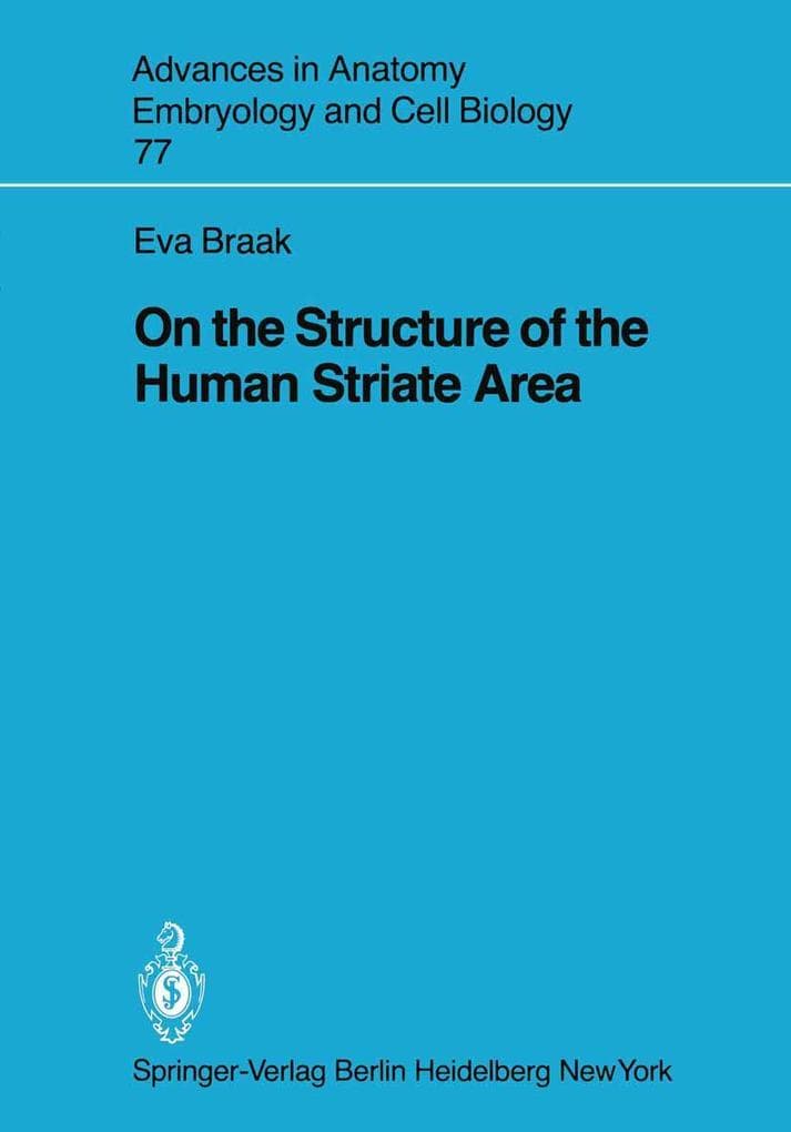 On the Structure of the Human Striate Area