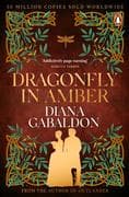 Dragonfly In Amber