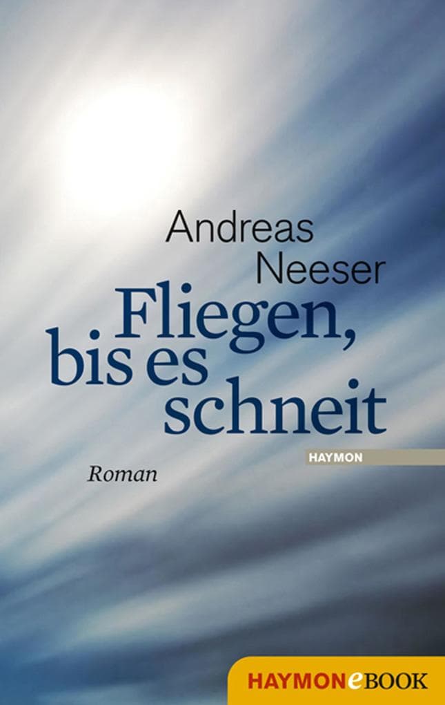 Fliegen, bis es schneit: Roman