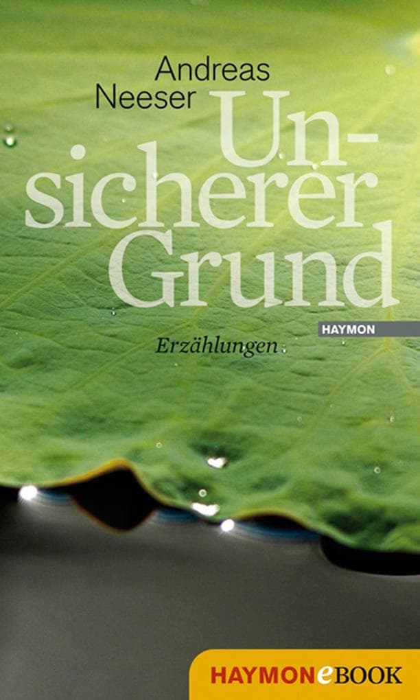 Unsicherer Grund: Erzählungen