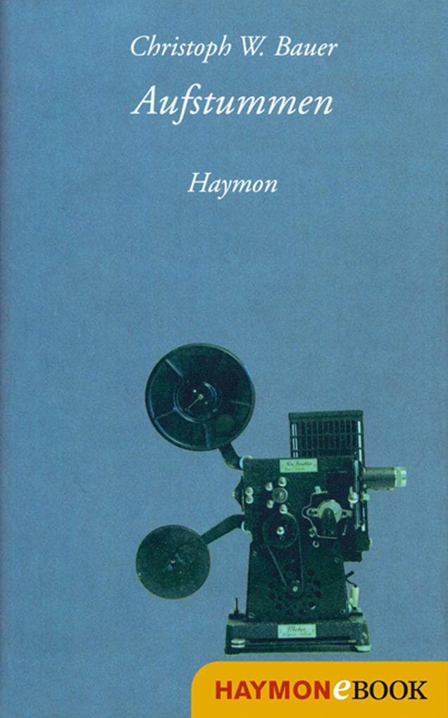 Aufstummen: Roman
