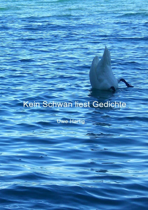 Kein Schwan liest Gedichte