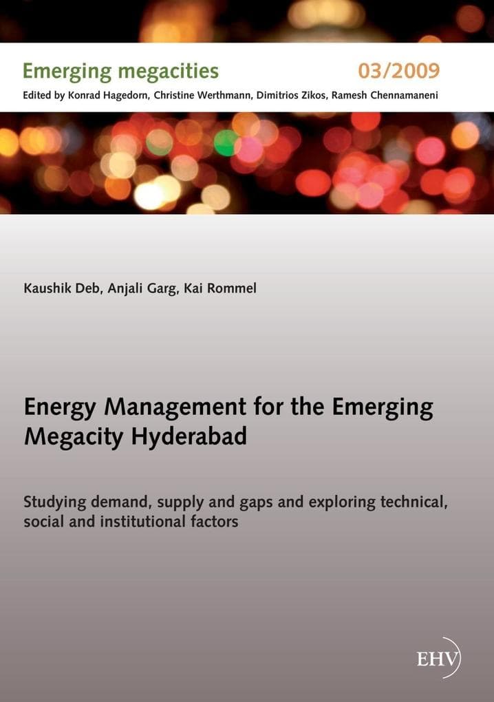 Energy Management for the Emerging Megacity Hyderabad
