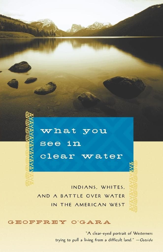 What You See in Clear Water