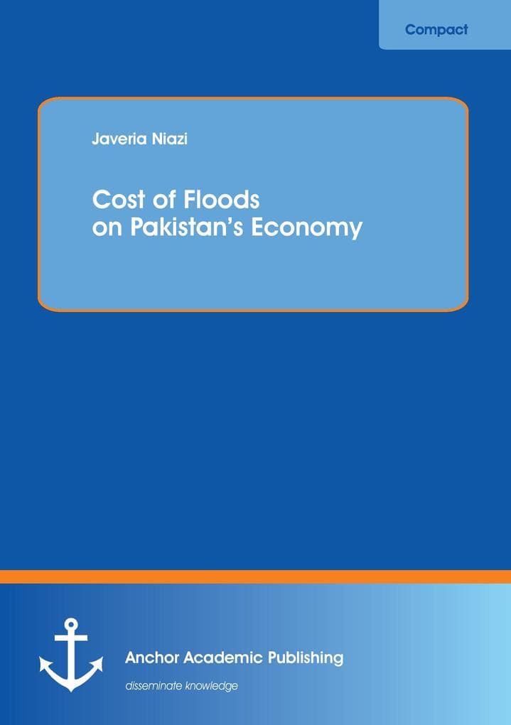 Cost of Floods on Pakistan's Economy