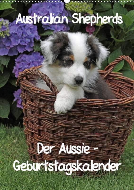Der Aussie - Geburtstagskalender (Wandkalender immerwährend DIN A2 hoch)