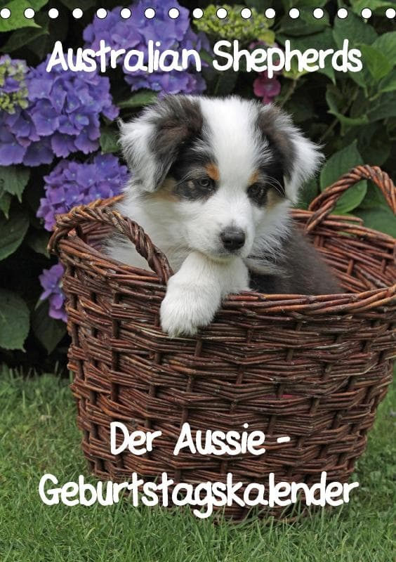 Der Aussie - Geburtstagskalender (Tischkalender immerwährend DIN A5 hoch)