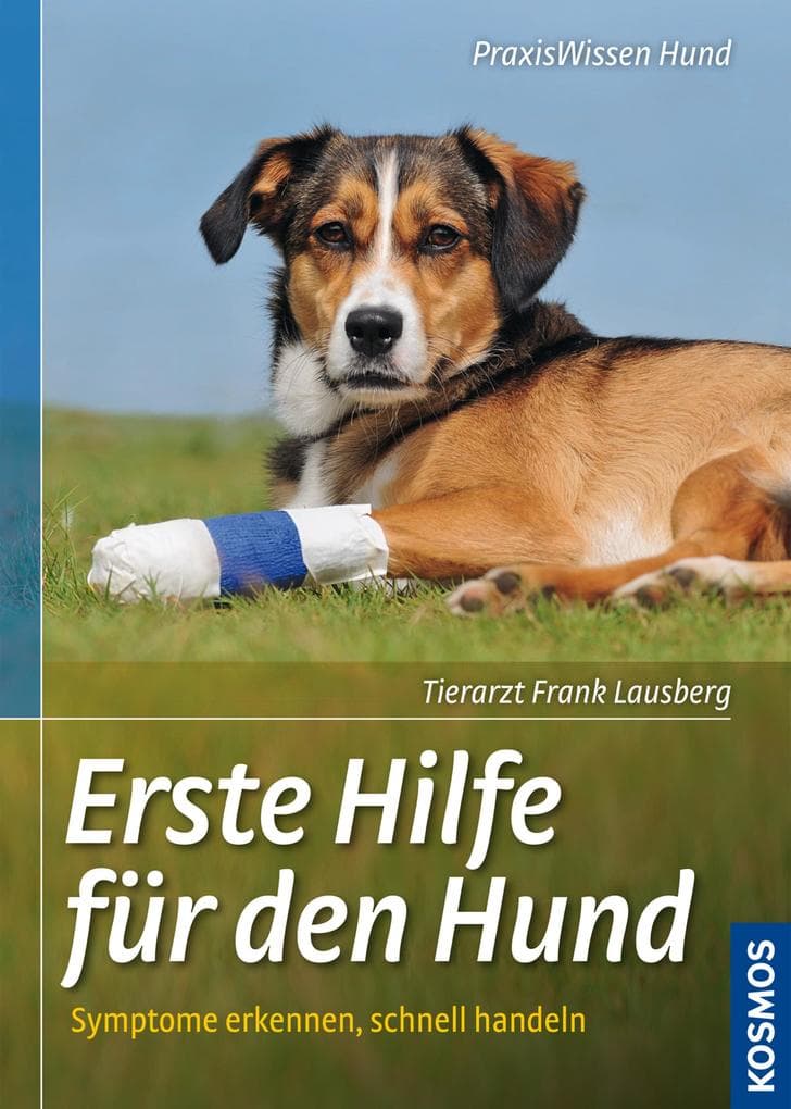 Erste Hilfe für den Hund