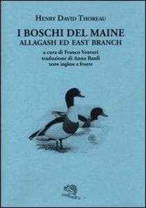 Thoreau, H: I boschi del Maine. Allagash ed east branch. Tes