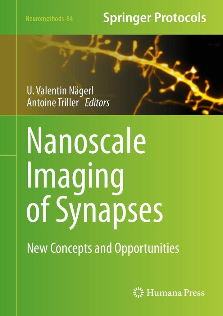 Nanoscale Imaging of Synapses