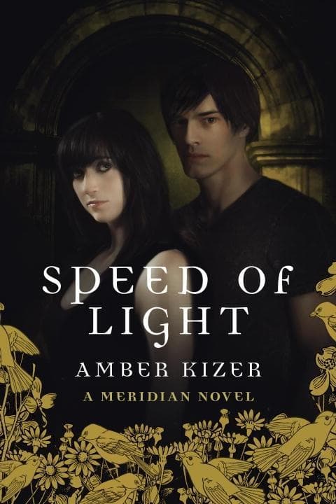 Speed of Light