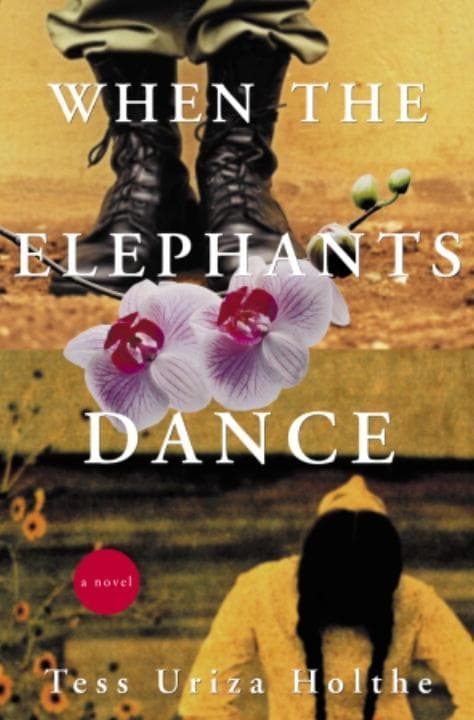 When the Elephants Dance: A Novel