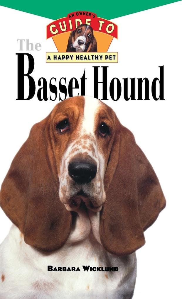Basset Hound