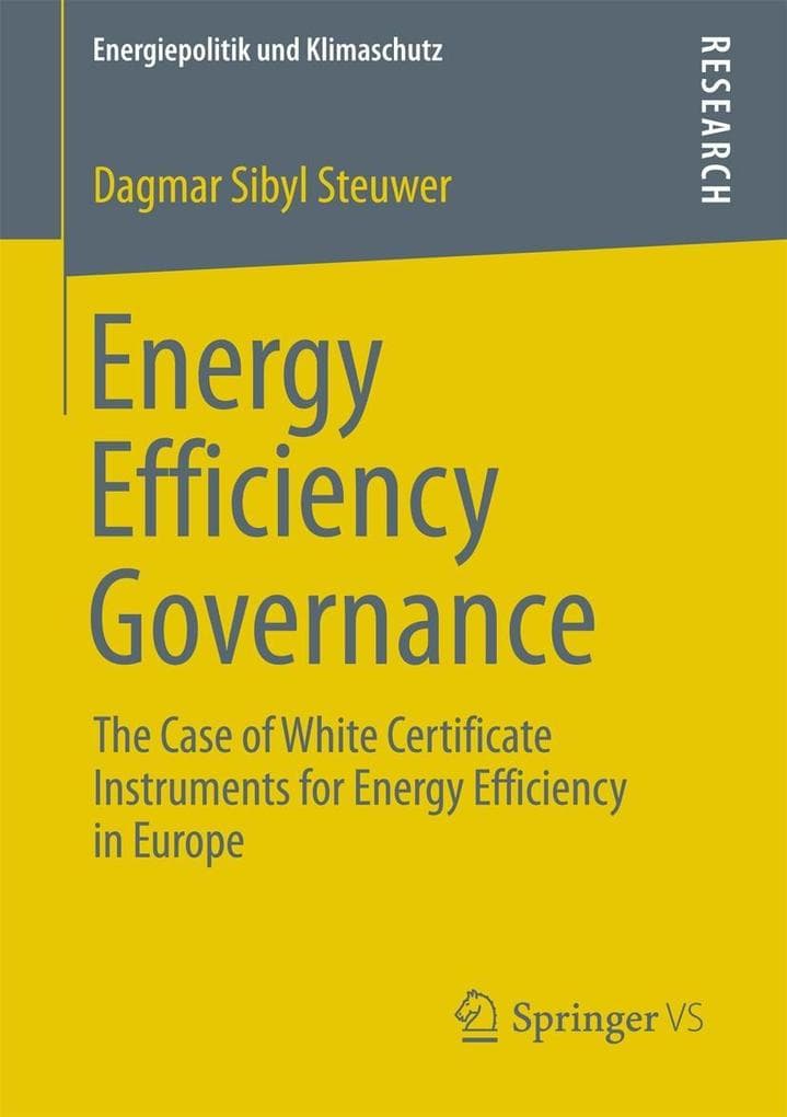 Energy Efficiency Governance