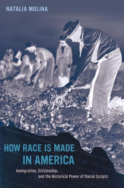 How Race Is Made in America