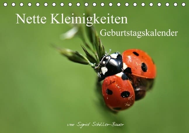 Geburtstagskalender "Nette Kleinigkeiten" (Tischkalender immerwährend DIN A5 quer)