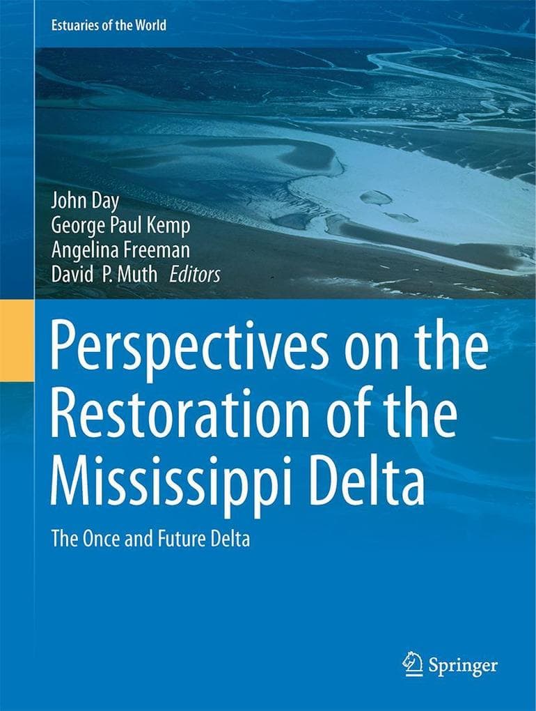 Perspectives on the Restoration of the Mississippi Delta