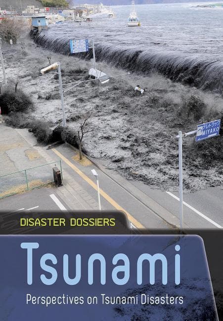 Tsunami: Perspectives on Tsunami Disasters