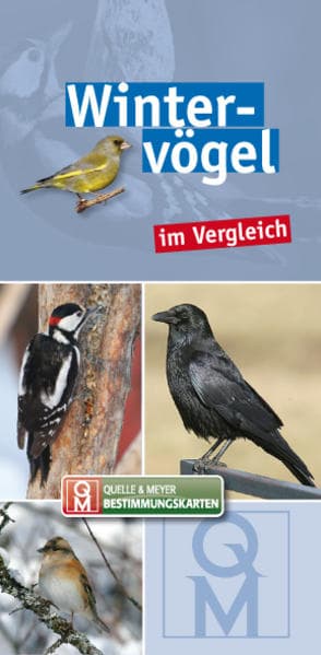 Wintervögel im Vergleich