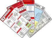Intensiv-Station Karten-Set - Analgesie & Sedierung, Blutgase & Differentialdiagnose, Herzrhythmusst