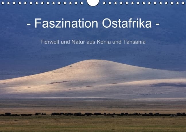 Faszination Ostafrika - Tierwelt und Natur aus Kenia und Tansania (Wandkalender immerwährend DIN A4 quer)