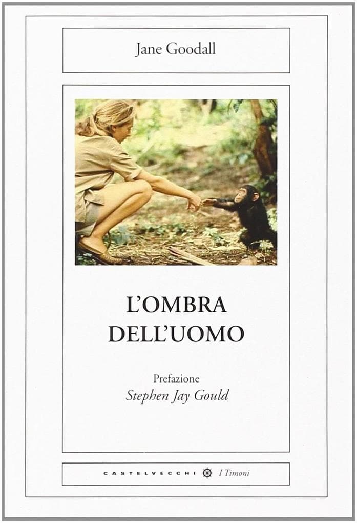 L' ombra dell'uomo