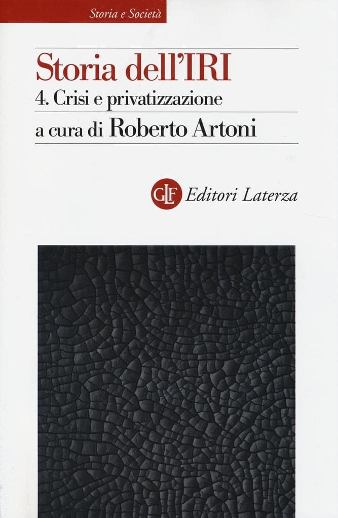 Crisi e privatizzazione