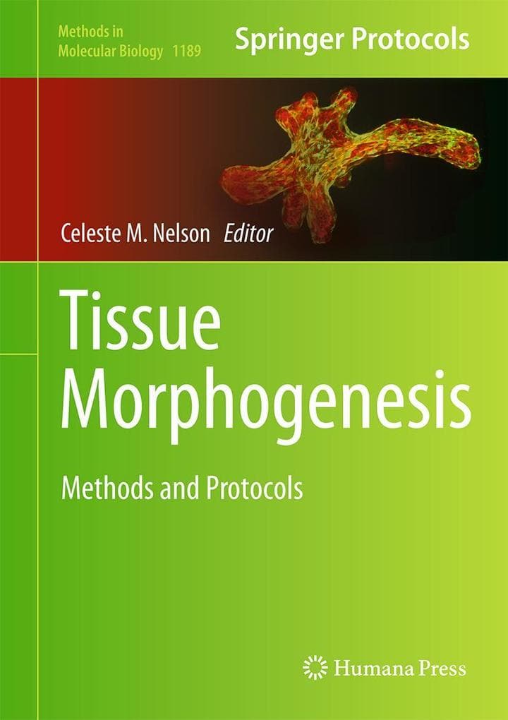 Tissue Morphogenesis