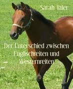 Der Unterschied zwischen Englischreiten und Westernreiten