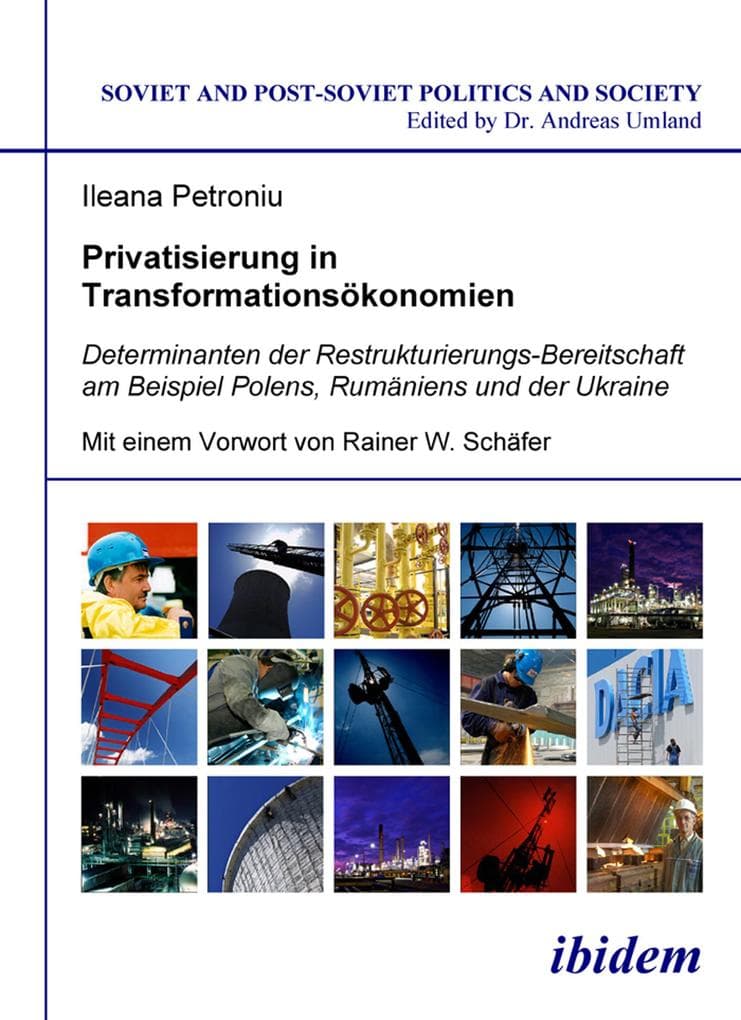 Privatisierung in Transformationsökonomien