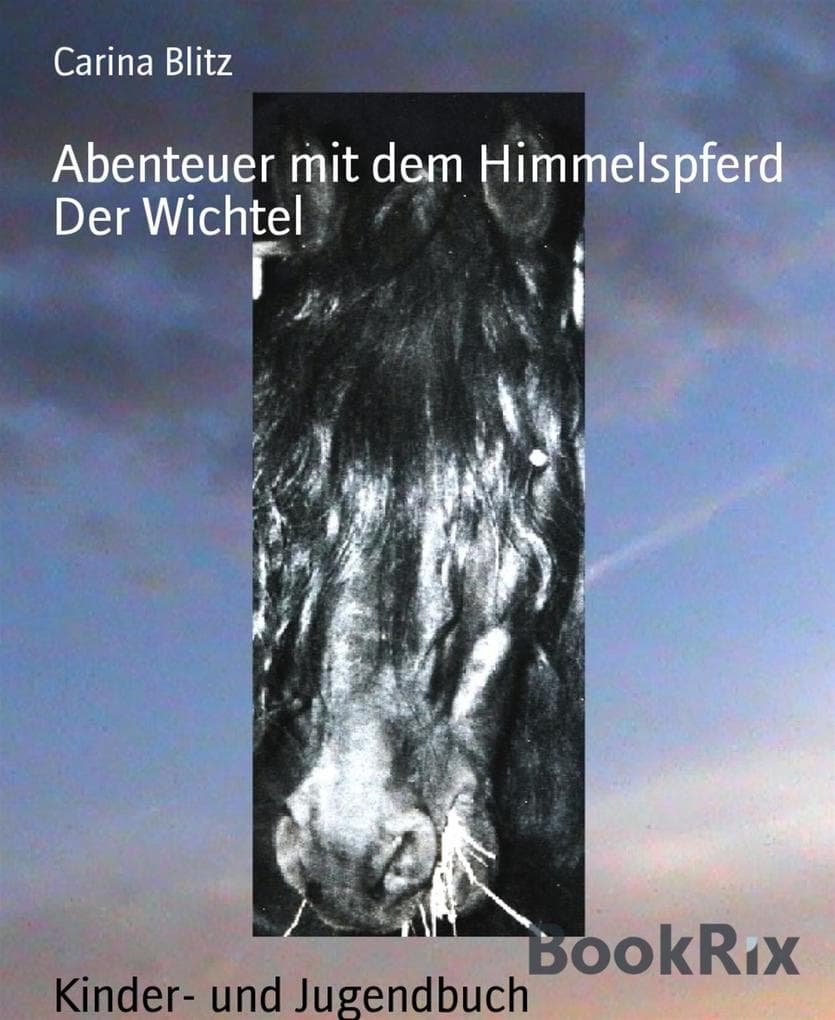 Abenteuer mit dem Himmelspferd